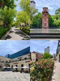 🌿✨ Shanghai Plane Tree Citywalk — A Stroll Through Hengshan Road (with Map!)