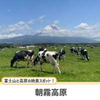 【静岡】ここだけは押さえたい人気観光スポット5選✨