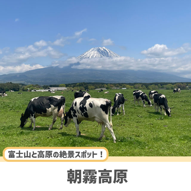 【静岡】ここだけは押さえたい人気観光スポット5選✨