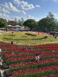 【富山】🌷砺波チューリップフェア🌷