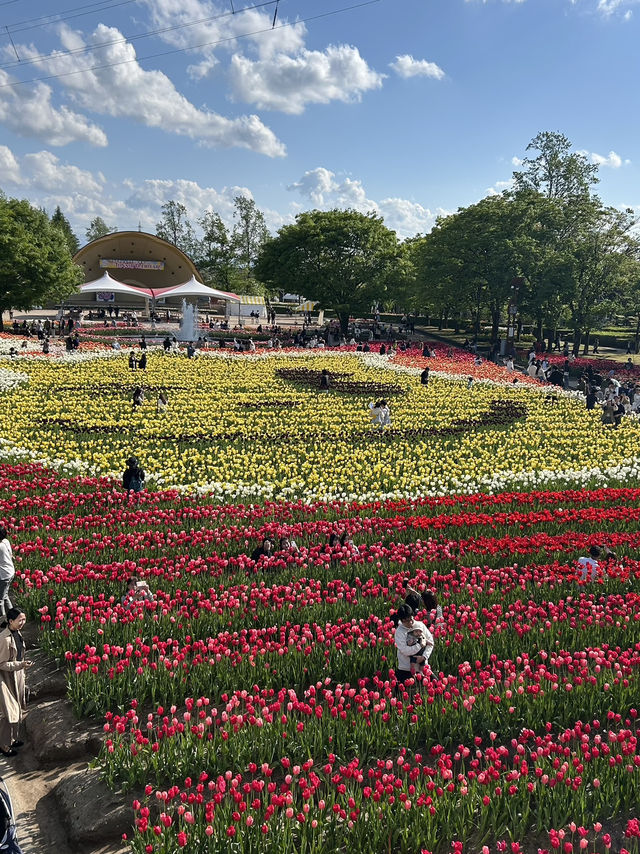 【富山】🌷砺波チューリップフェア🌷