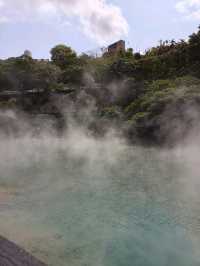 Mist, Minerals & a Perfect Egg