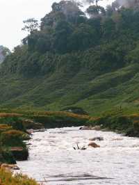 เขื่อนขุนด่านปราการชล นครนายก