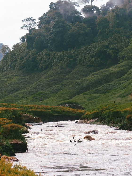 เขื่อนขุนด่านปราการชล นครนายก