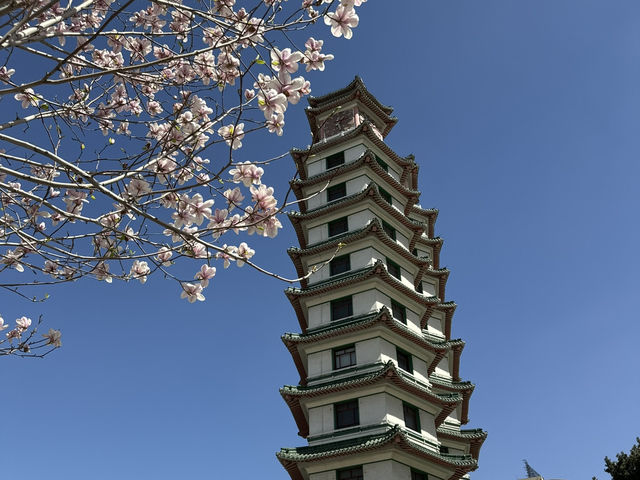 From Bronzes to Blossoms: The Perfect Spring Day in Zhengzhou