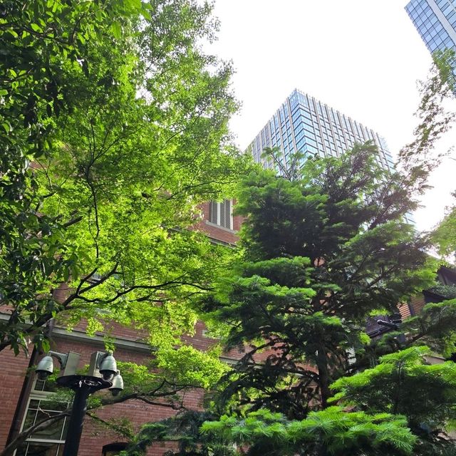 癒しスペース🌱🌹