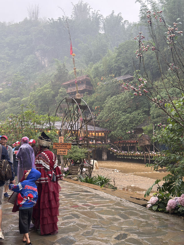 沙唄市必去的貓貓村