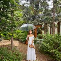 คาเฟ่บรรยากาศอบอุ่นที่เขาใหญ่ 🌳🌼