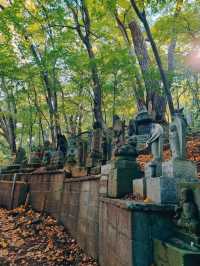 MARUYAMA PARK