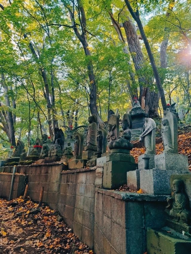 MARUYAMA PARK