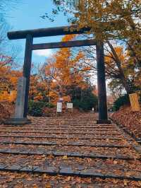 MARUYAMA PARK