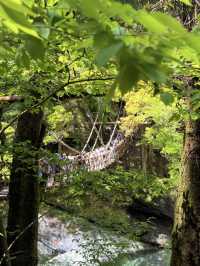 德島｜心跳加速產生戀愛錯覺的橋？ 日本三大奇橋祖谷藤蔓橋