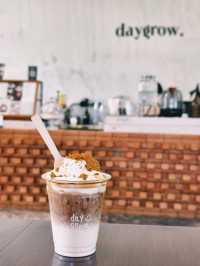DayGrow Café : ความเรียบง่ายและความร่มรื่น