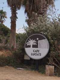 韓國濟州🍊｜海邊咖啡廳「Lucia」☕️隱身在沙漠中的綠洲🌵