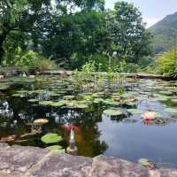 嘉道理農場暨植物園（Kadoorie Farm and Botanic Garden）