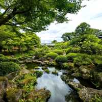 Yuushien: A Floral Paradise on Daikon Island