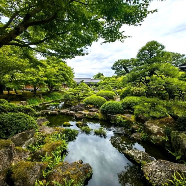 Yuushien: A Floral Paradise on Daikon Island