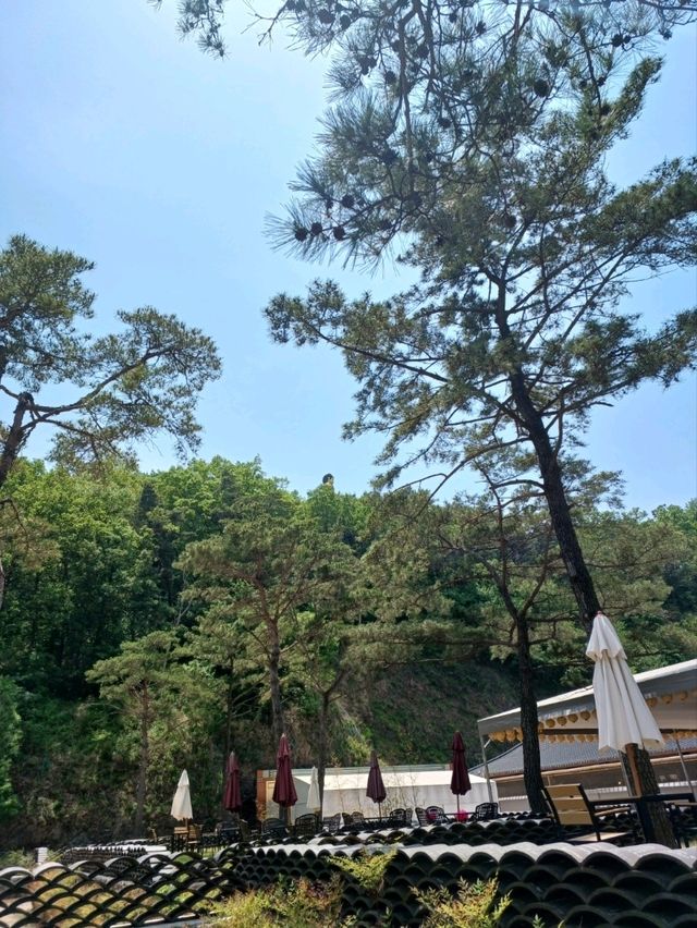 문화와 자연이 어우러진 힐링 여행