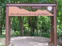 เที่ยวเส้นทางธรรมชาติ ณ ขุดน้ำนางนอน
