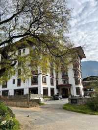Thimphu Town – Where Tradition Meets Tranquility
