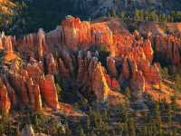 Hoodoo Wonderland: Hiking the Queen’s Garden & Navajo Loop