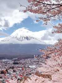 Petals, Pagoda & Peak – The Ultimate Sakura Postcard