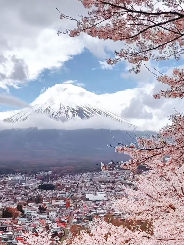 Petals, Pagoda & Peak – The Ultimate Sakura Postcard