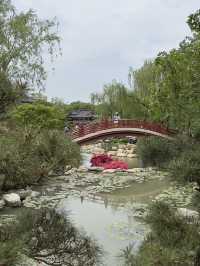 Ancient Wonders & Modern Charms: My Xi’an Adventure 
