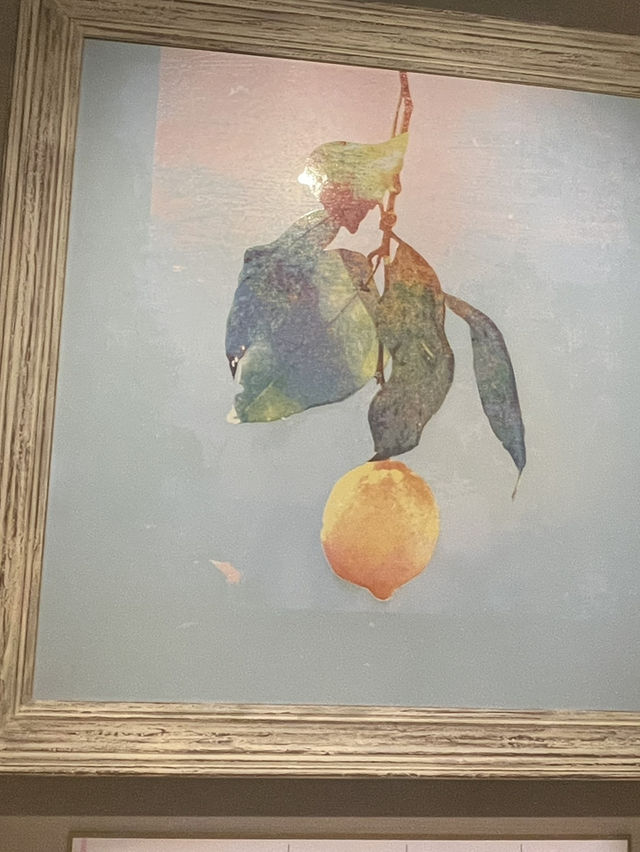 有趣豐富的美術館，德島低調的美學新視野