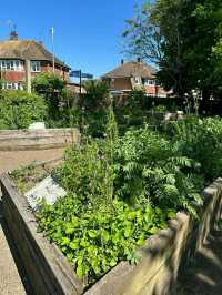 Dane John Gardens – Canterbury’s Historic Green Gem