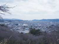 東京至東北攻略：船岡公園賞櫻