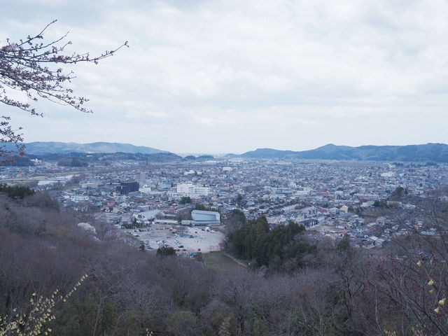 東京至東北攻略：船岡公園賞櫻