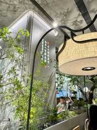 《綠茶餐廳來到奧運啦》