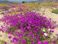 Weekend escape at La Casa Del Zorro Resort & Spa  