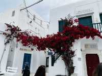 Mykonos Island Dreams