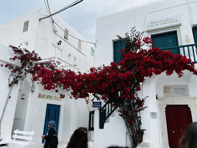 Mykonos Island Dreams