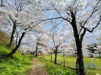 The amazing Oyama Park
