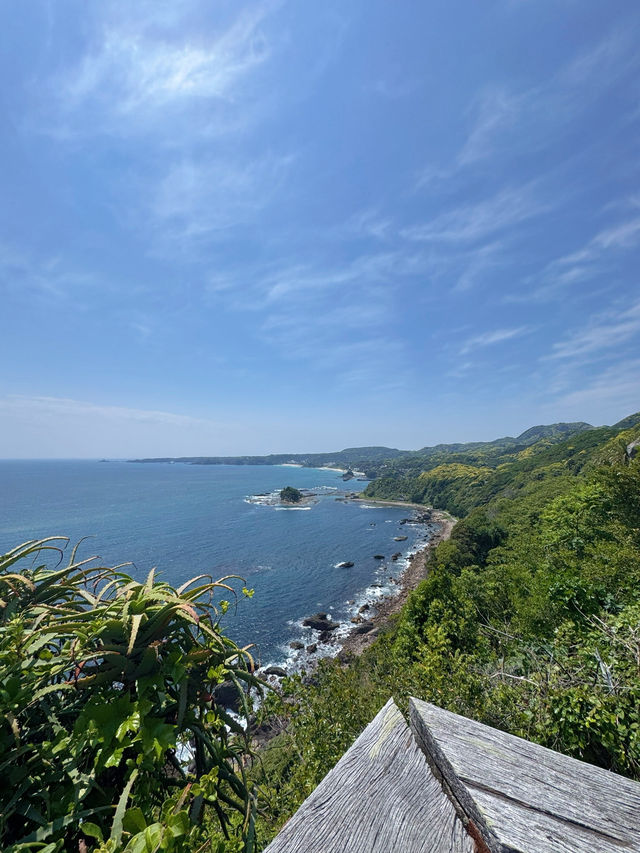 【伊豆】まるで南国🌴絶景スポットでチルタイム