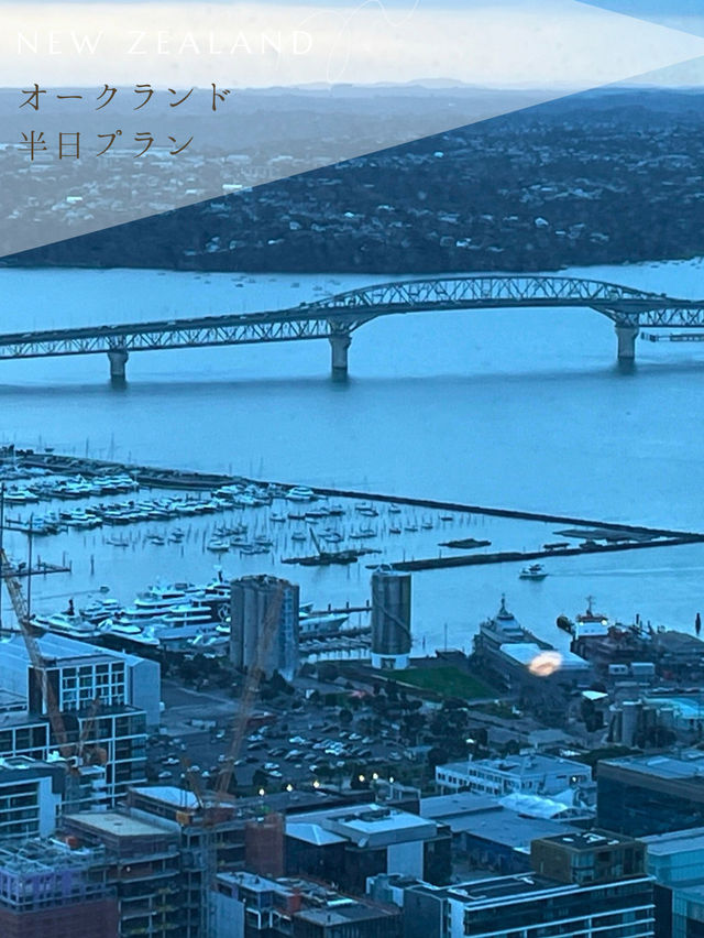 【NZ】✈️オークランド到着日の半日プラン🇳🇿