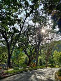 A Tranquil Green Stroll to End the Day at Penang Botanical Garden