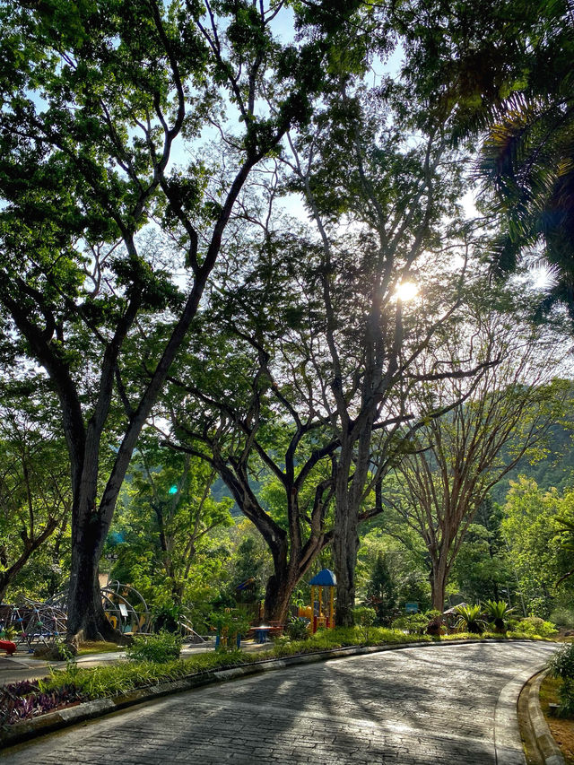 A Tranquil Green Stroll to End the Day at Penang Botanical Garden