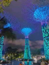Gardens by the Bay Singapore