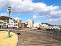 [🇯🇵尾道] 海風感じる尾道ぶらり散歩〜港町の風情と瀬戸内海の絶景を楽しむ