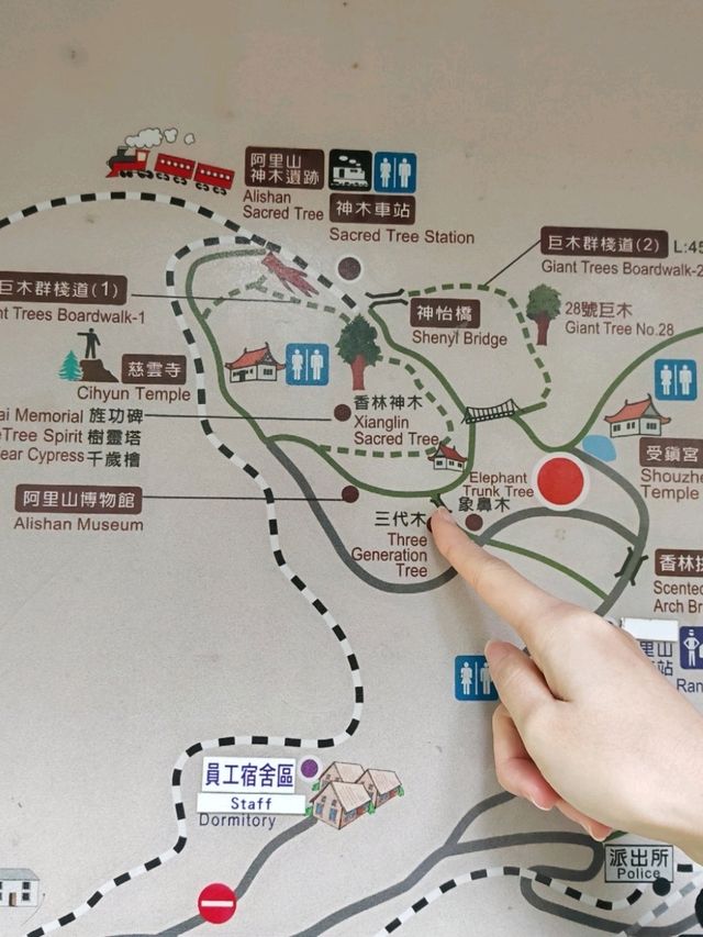 🚂 All Aboard the Red Train: Discovering Alishan Forest's Timeless Charm 🌲🍂