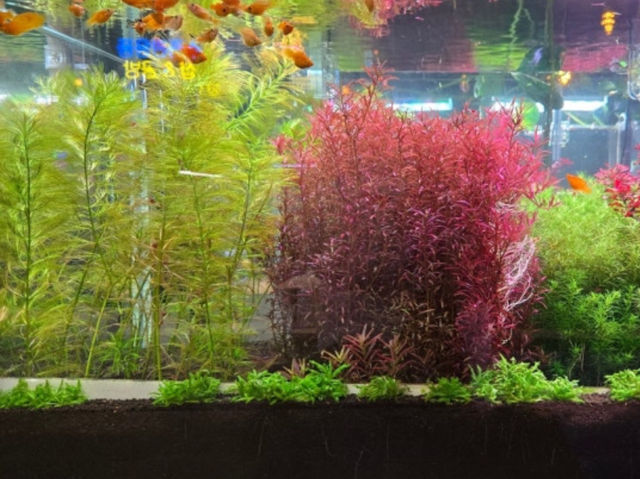 🎣 인천 중구 이색 낚시카페로 즐기는 실내 데이트!