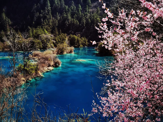 九寨溝➕甘南🇨🇳 夢幻水景與藏地風情的奇妙組合❗️