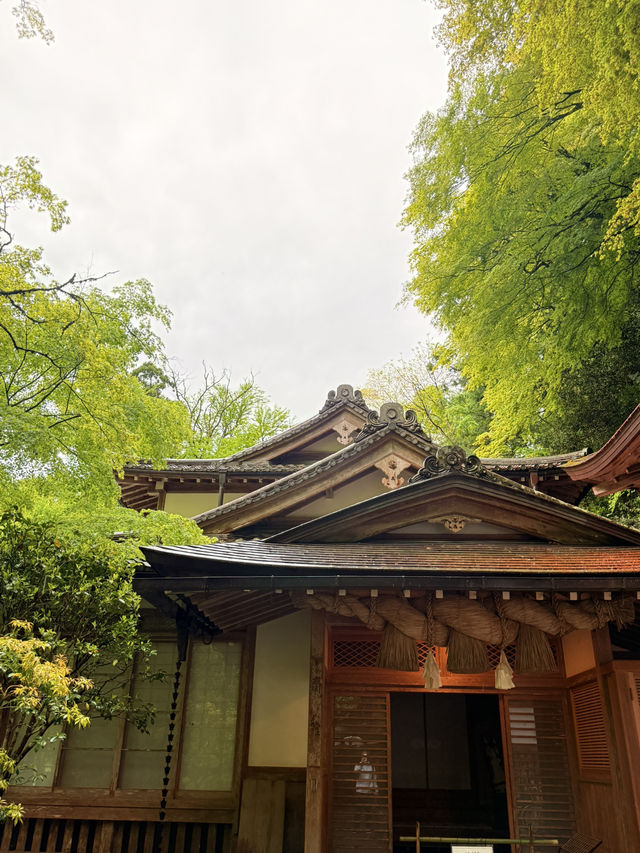 京都｜到貴船神社抽水籤 春有綠意秋楓紅 感受京都絕美詩意