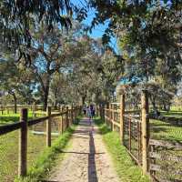 Perth | The Most Fun Activity at Caversham Wildlife Park
