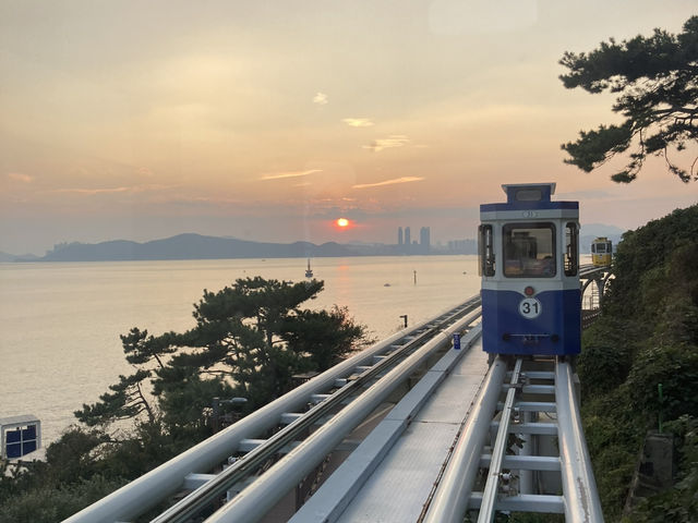 海と文化が出会う街、釜山で心に残る旅を🌊🎨✨