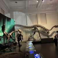 🏛️ Sydney | A Museum Kids Don’t Want to Leave